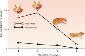 1 SFRR CHAPTER 3 fig hamsters hoarding over cycle